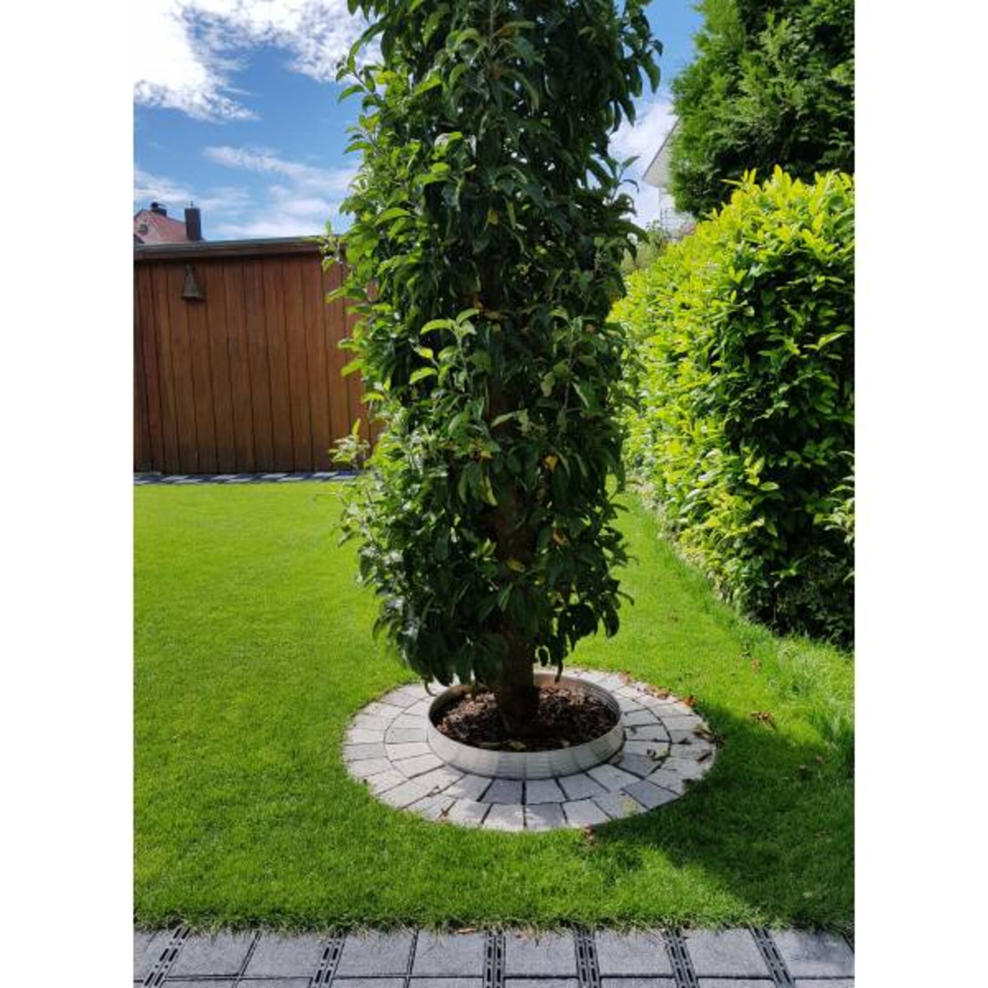 [Bundle] Alu Round Lawn Edging Height 100 mm Diameter 1 m Garden